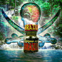 BRAZIL PLATINUM 10ML