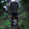 Jungle Juice Black 10ml